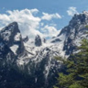 Meet your Posher, Marilyn